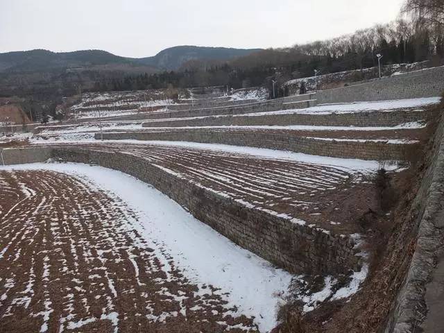 大寨人用一块块石头在山坡上垒出的梯田