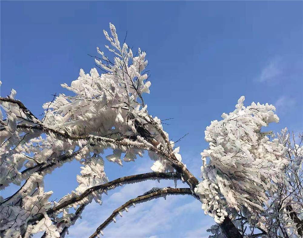 桂林:白雪皑皑的恭城瑶族自治县三江乡银殿山雪景!