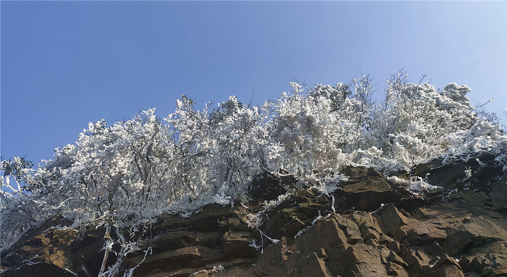 桂林:白雪皑皑的恭城瑶族自治县三江乡银殿山雪景!