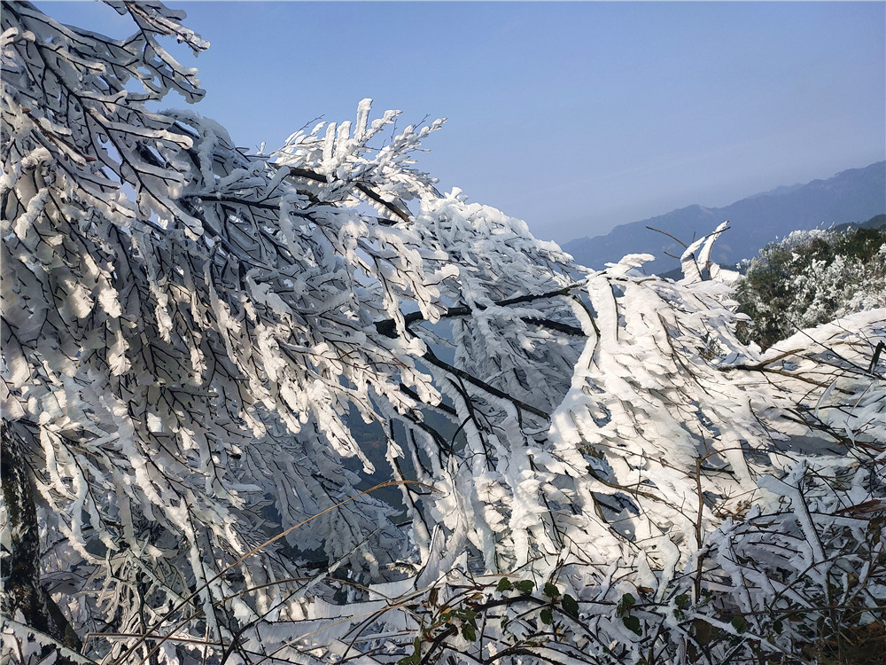 桂林:白雪皑皑的恭城瑶族自治县三江乡银殿山雪景!