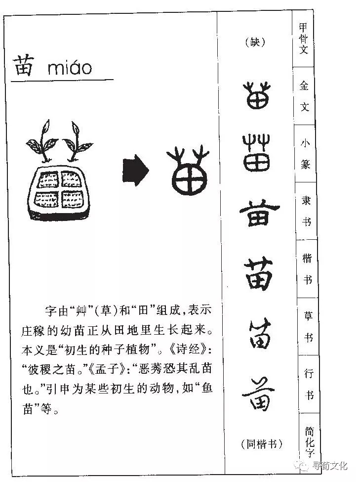 苗姓汉字书法演变过程和苗氏姓氏起源荀卿庠整理