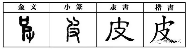 皮姓汉字书法演变过程和皮氏姓氏起源荀卿庠整理