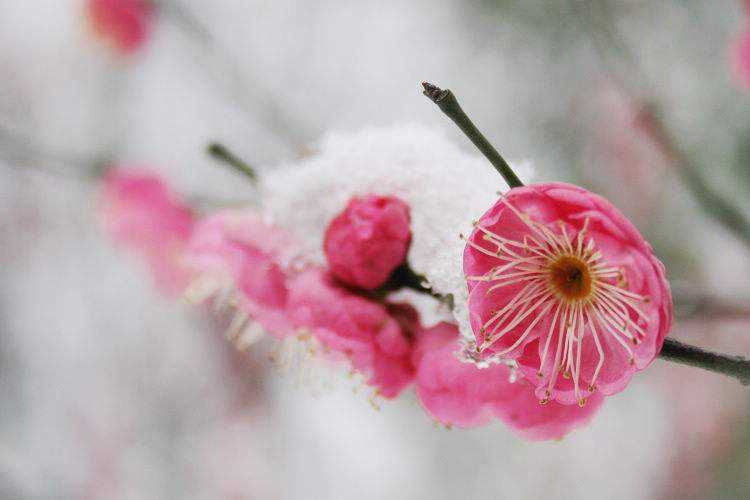 今天是立春节气,新生命新希望的开始,让我们满怀期待迎接春天的到来!