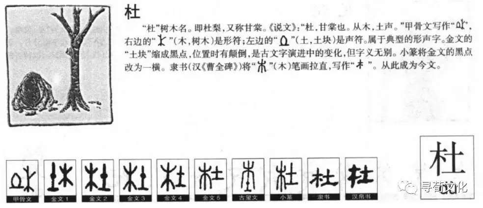 杜姓汉字书法演变过程和杜氏姓氏起源荀卿庠整理
