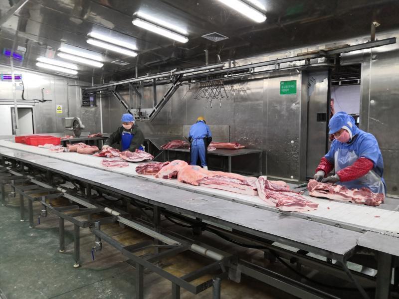 屠宰加工生猪一千余头 成都崇州大型生猪屠宰企业为猪肉产品稳产保供