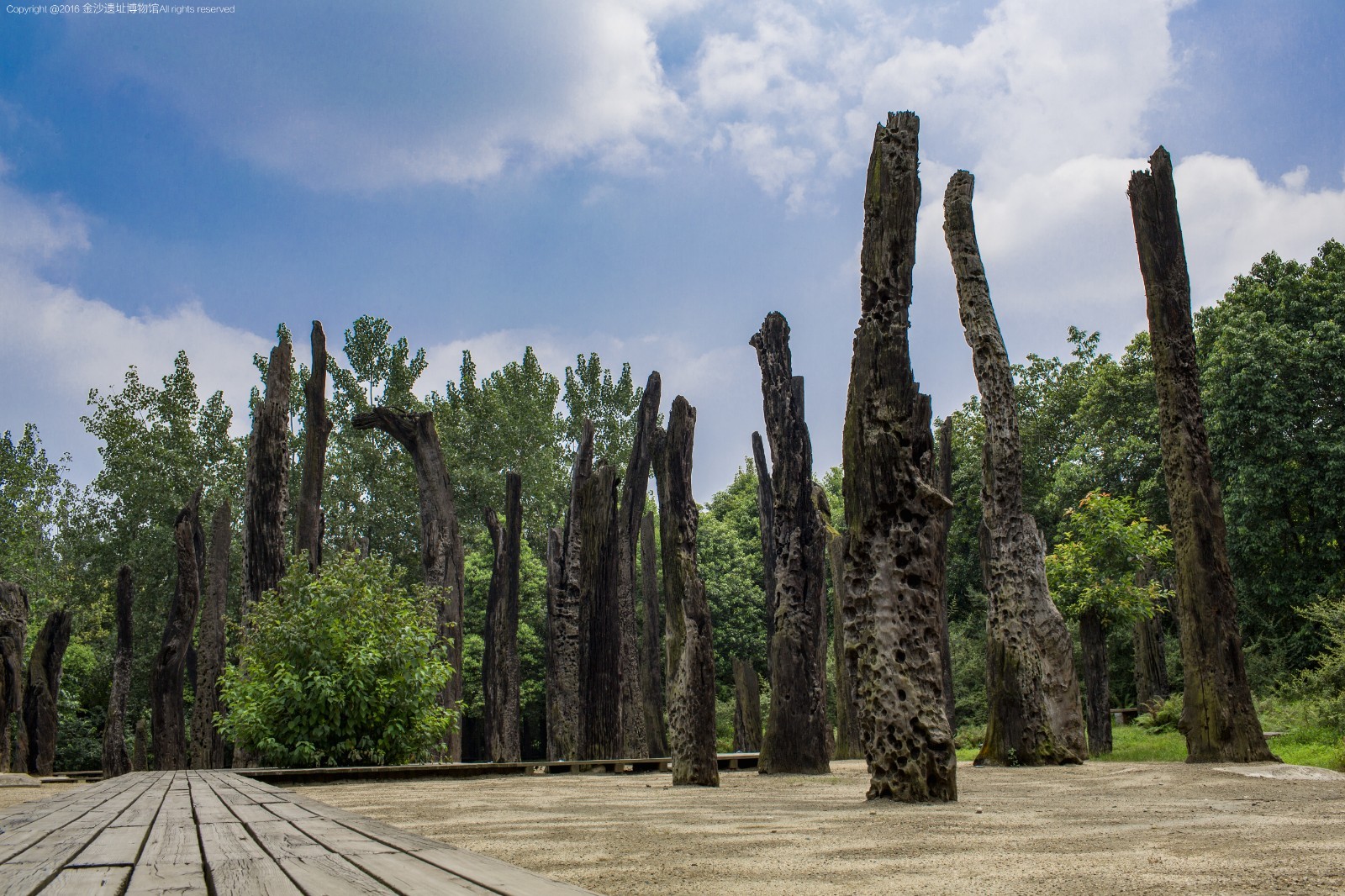 文化景观—乌木林