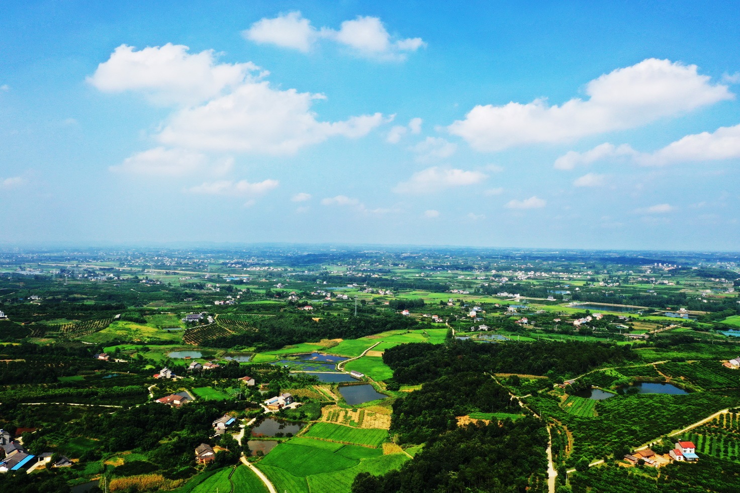 宜昌枝江:荣膺全国村庄清洁行动先进县(市)