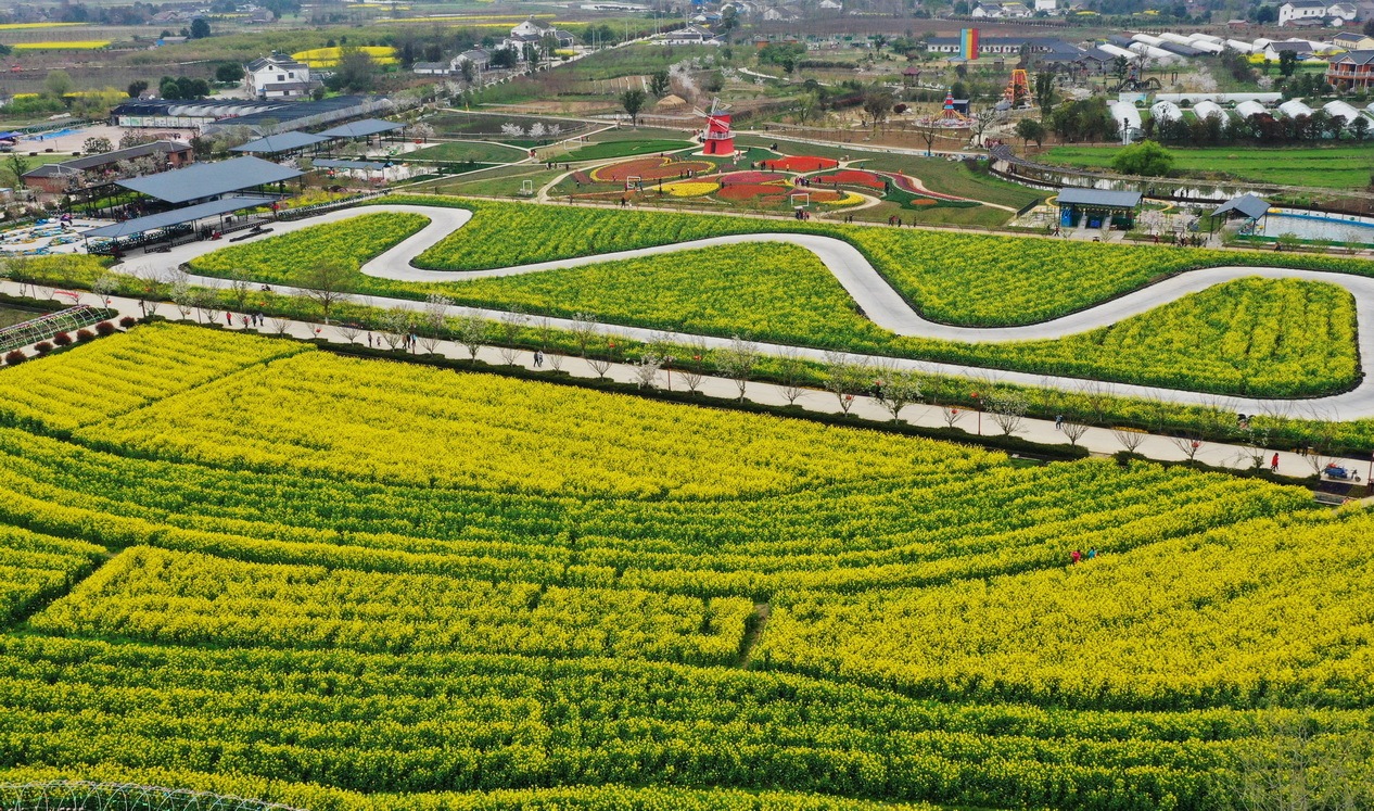 宜昌枝江:荣膺全国村庄清洁行动先进县(市)