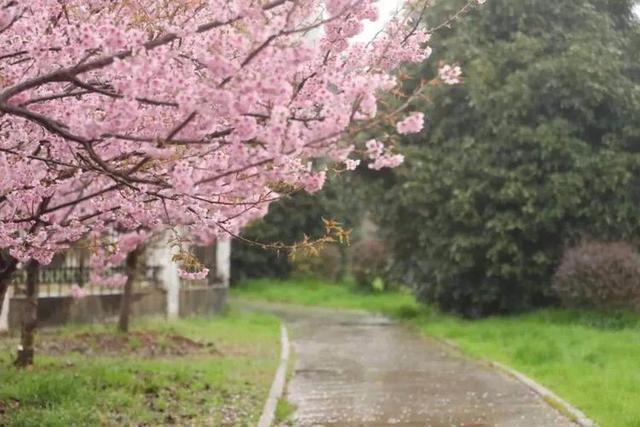 阳光雨露润大地