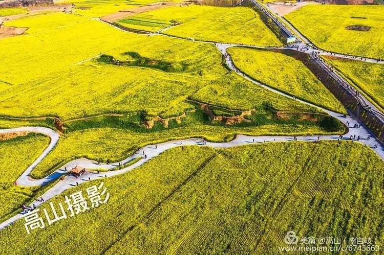 河北沙河:俯瞰万亩油菜花