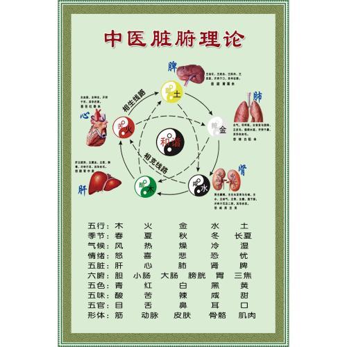 中医藏象学说与五行象数理论