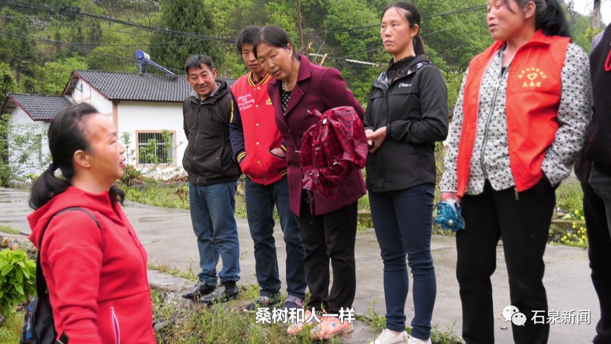 致富| 石泉县饶峰镇新华村:蚕桑产业铺就增收致富路