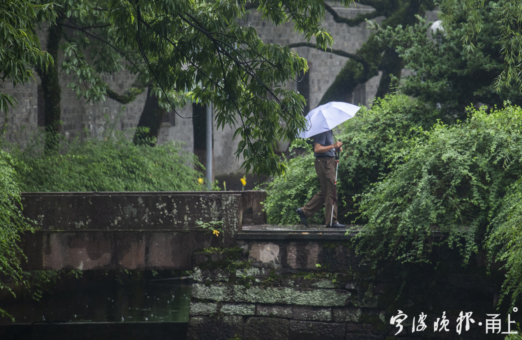 梅雨季宁波有了江南的模样