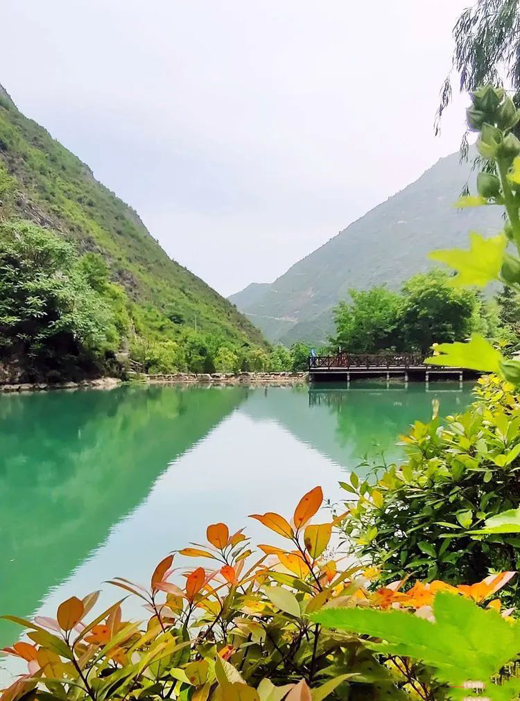 陇南武都热吗来姚寨沟清凉一夏