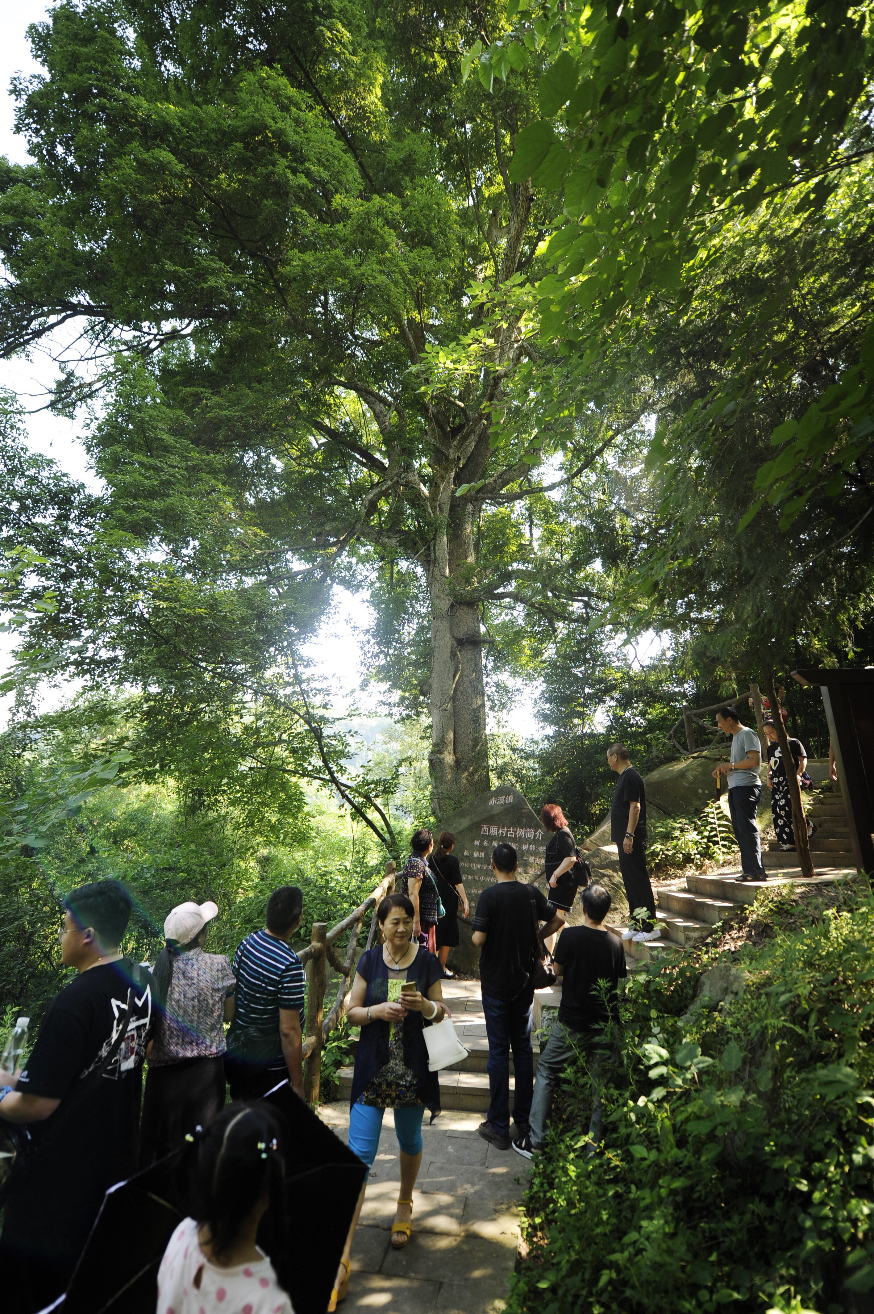 巴山深处西厢记——赤溪镇西厢村发展旅游 成为网红村