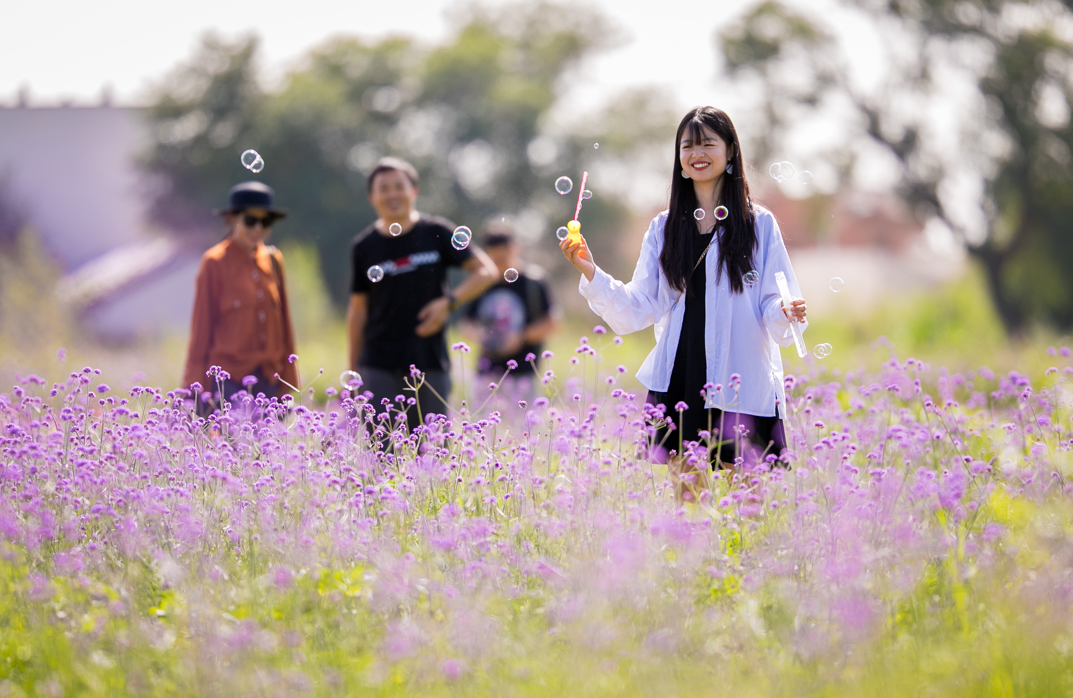 3—7月31日,游人在"昭君花海"内游玩赏花.jpg