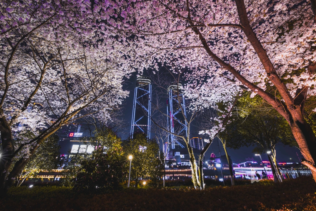 湖州夜景双子大厦图片