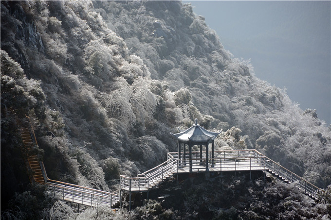 岭南公园雪景照片图片