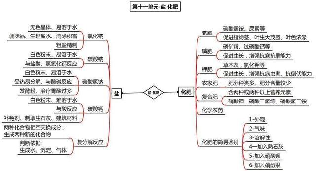 中考九年寒假複習計劃(附每一單元思維導圖)_人民號