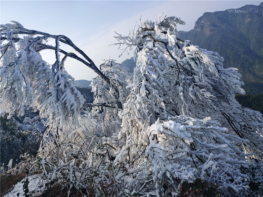 广西冬季旅游景点大全图片
