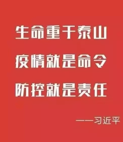 众志成城抗击疫情瓷都公安在行动六