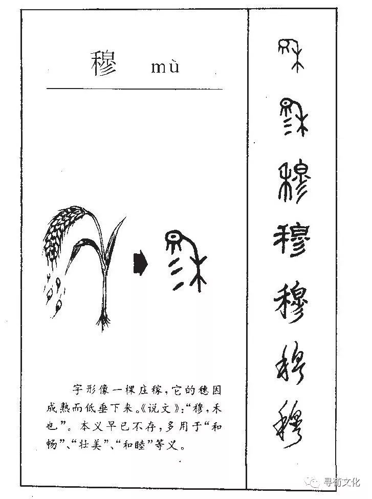fangmu的汉字图片