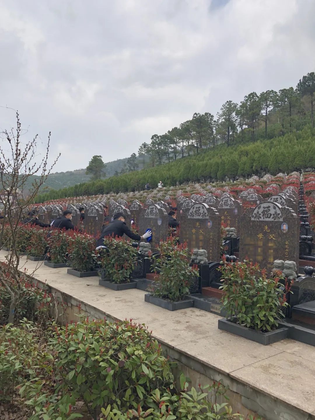 云南澄江公墓图片