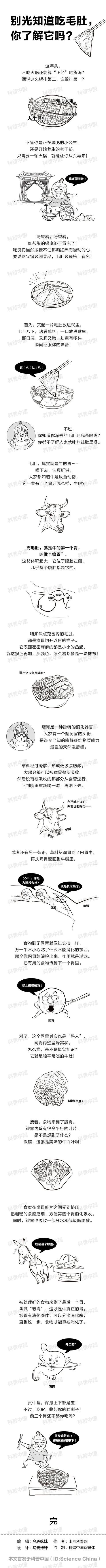 火锅别光知道吃毛肚，你真的了解它吗？