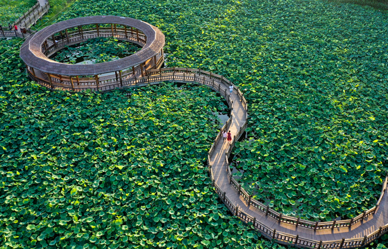 宜宾月亮湾风景区图片