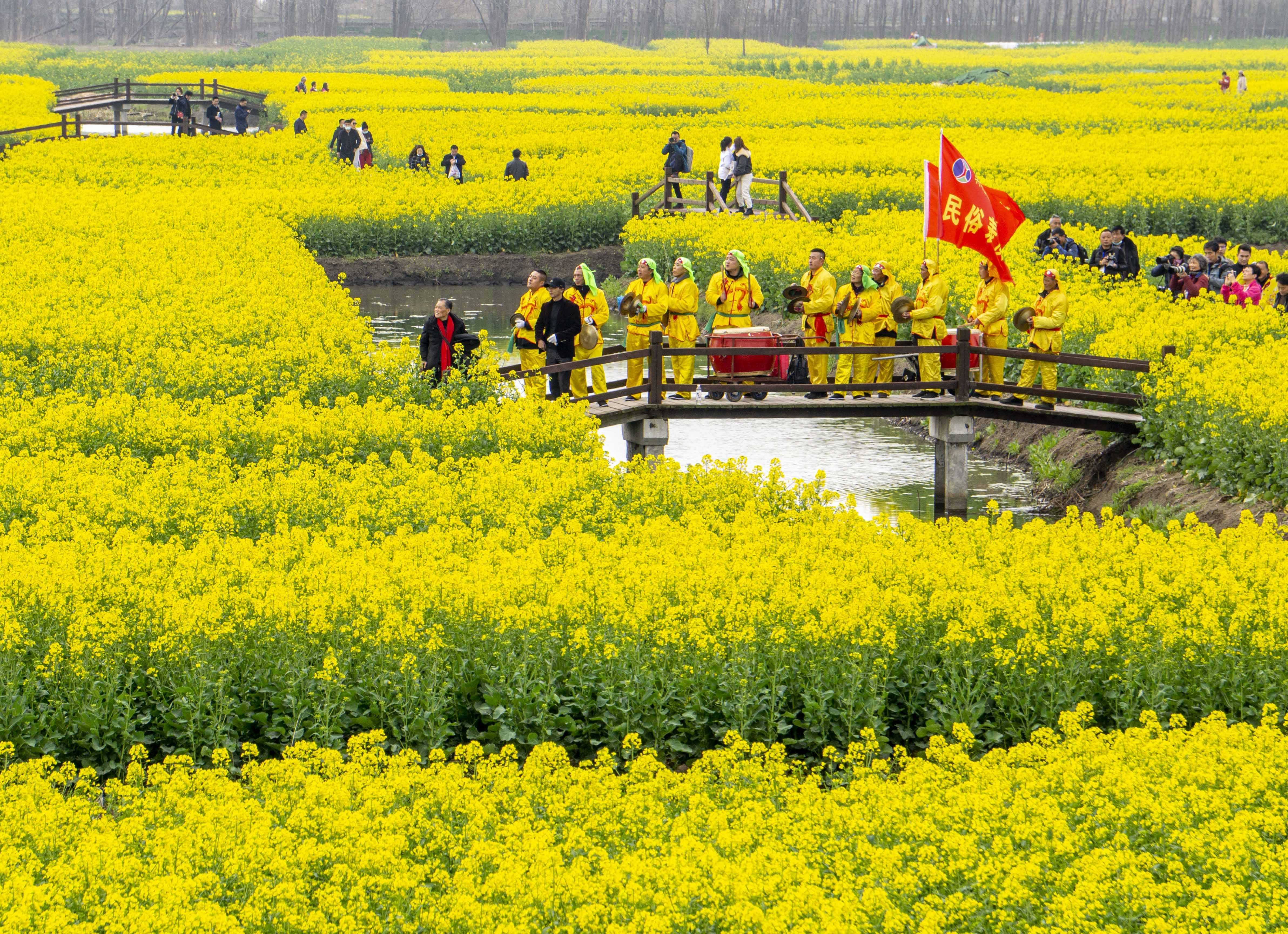 視覺中國江蘇興化春到垛田油菜花開