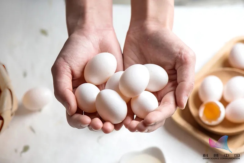 鹌鹑蛋|鸡蛋、鸭蛋、鹌鹑蛋，哪种更有营养？怎么选？还不知道的亏大了