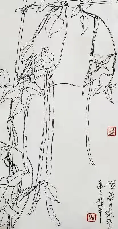 豆角树简笔画图片