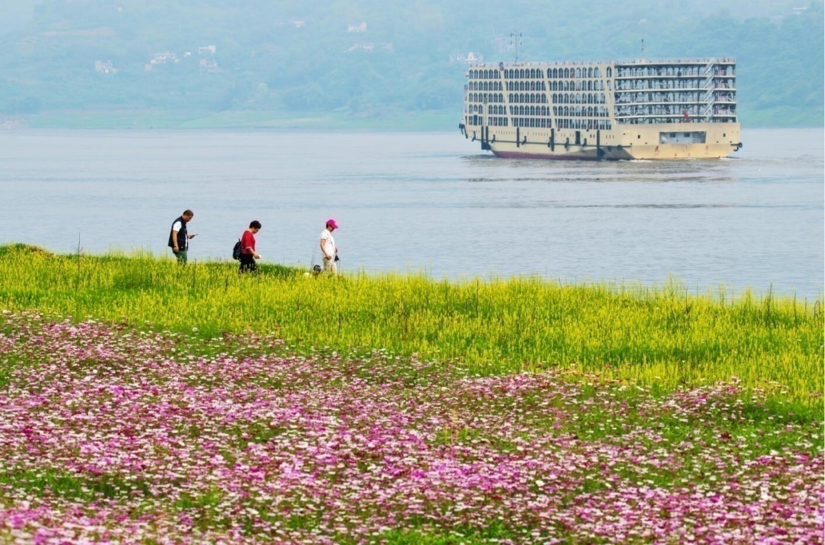 世界人居网精品丨重庆木洞中坝岛生态保护修复工程