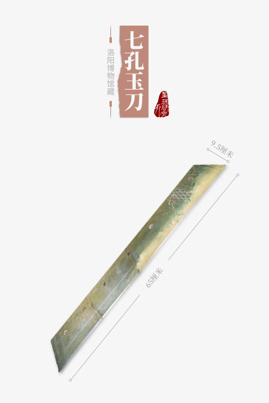 ▼(七孔玉刀,摄影师@丁俊豪)长达65厘米的玉刀人们可以制造显示出它是