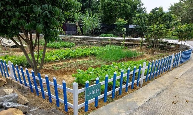2021年12月9日,记者获悉,河南省周口市鹿邑县任集乡突出抓好小菜园