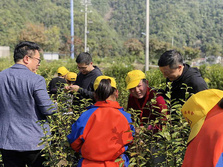 优质回答的标准是什么_优质回答问题经验分享_提交优质回答