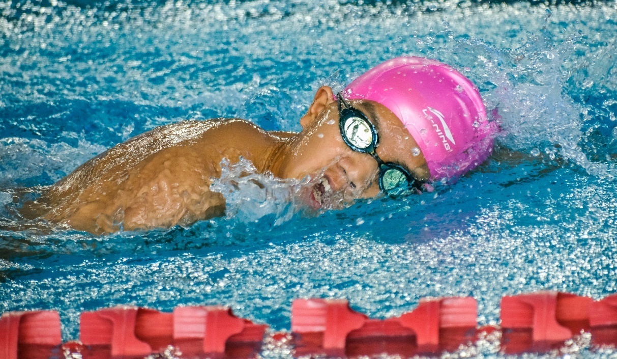 游泳健儿奋泳往直前省十一届运会竞技体育组游泳比赛开赛