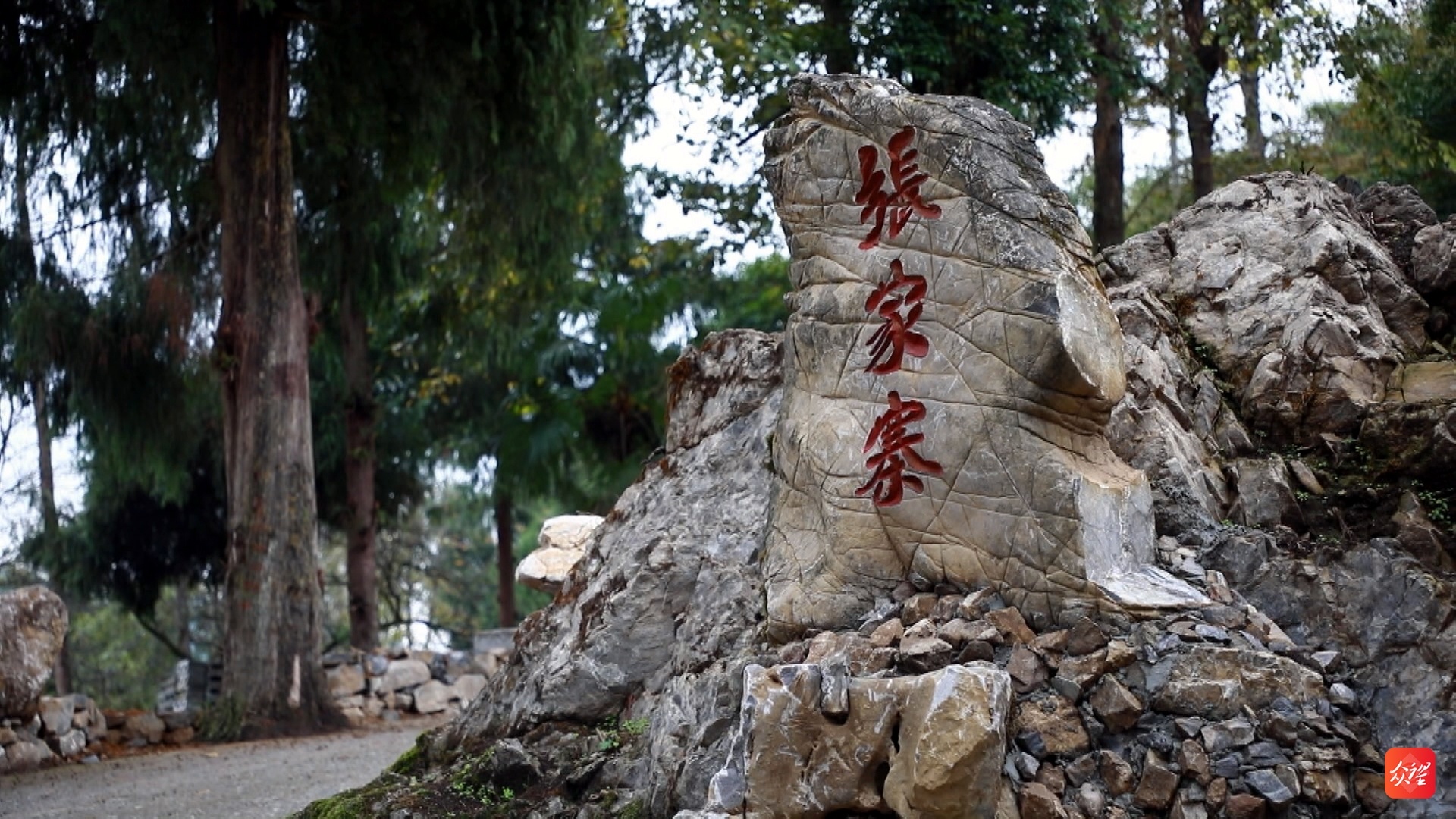 据介绍,过去的张家寨是一个贫穷落后的小村庄,如今的华丽蜕变,得益于